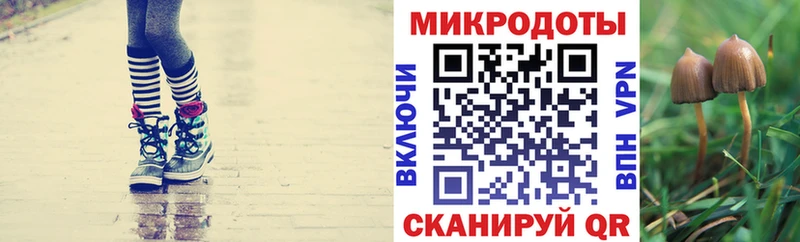 Псилоцибиновые грибы мицелий  наркотики  Ступино 
