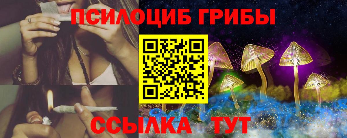 Галлюциногенные грибы Magic Shrooms Ступино