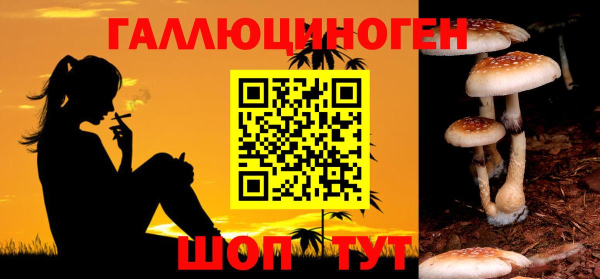 Ступино  Галлюциногенные грибы MAGIC MUSHROOMS  Вход с VPN 